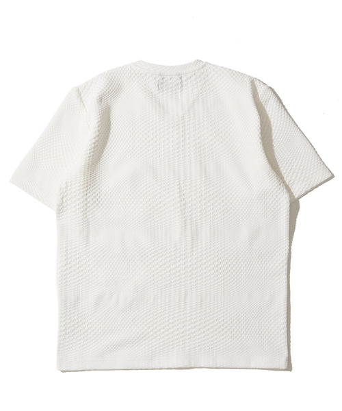 ブリスタージャガードＶネックＴシャツ